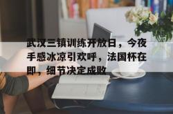体育直播武汉三镇训练开放日，今夜手感冰凉引欢呼，法国杯在即，细节决定成败的简单介绍